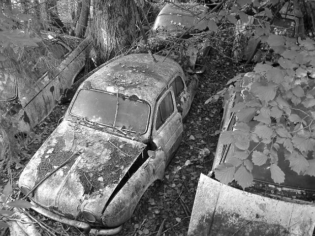 Autofriedhof - 078.JPG - Historischer Autofriedhof,    Gürbetal (CH)